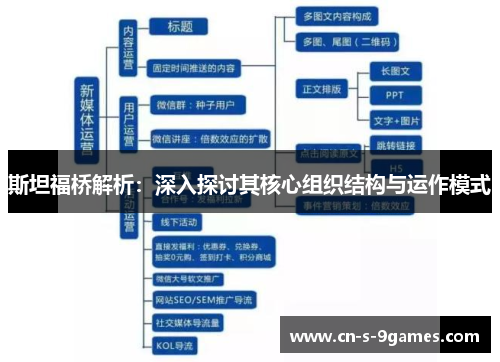 斯坦福桥解析:深入探讨其核心组织结构与运作模式 斯坦福桥解析:深入探讨其核心组织结构与运作模式
