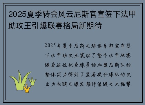 2025夏季转会风云尼斯官宣签下法甲助攻王引爆联赛格局新期待 2025夏季转会风云尼斯官宣签下法甲助攻王引爆联赛格局新期待