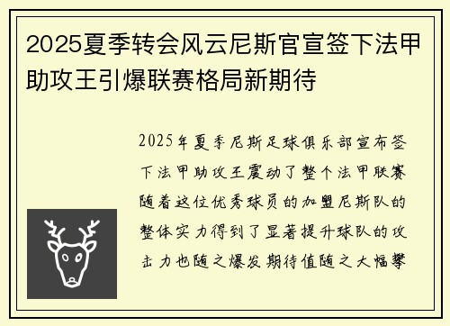 2025夏季转会风云尼斯官宣签下法甲助攻王引爆联赛格局新期待 2025夏季转会风云尼斯官宣签下法甲助攻王引爆联赛格局新期待